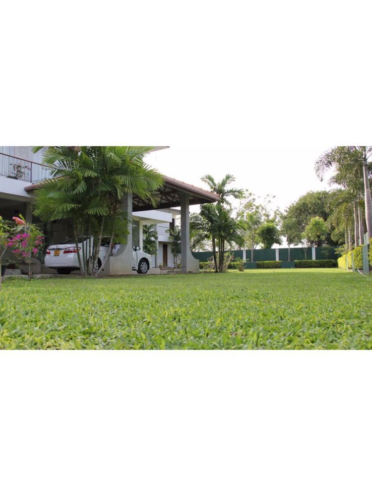Lake Wind Hotel Tissamaharama Εξωτερικό φωτογραφία